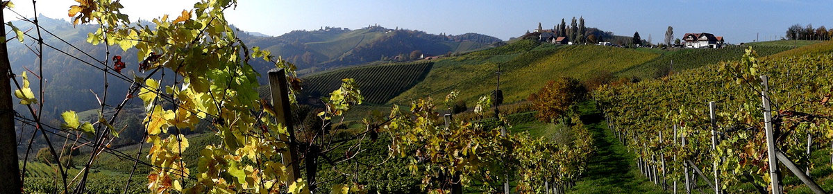 食用油灌裝生產(chǎn)線